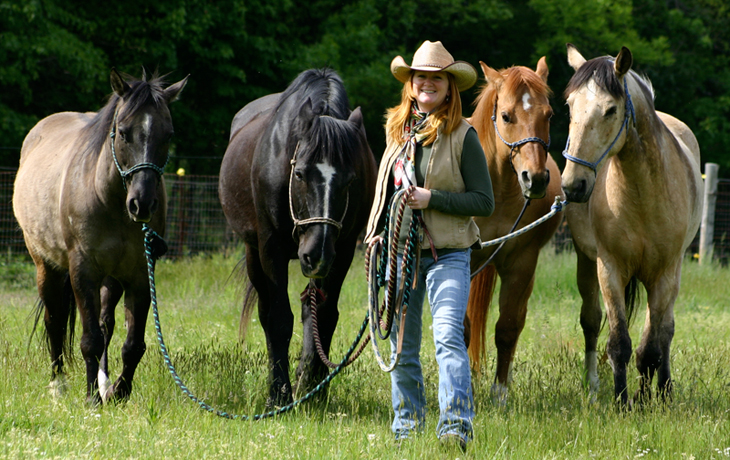 Wendy Herrmann - Equestrian Artist